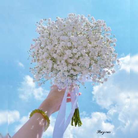 دانلود آهنگ جدید سلام گل به تو ای گل نشونم