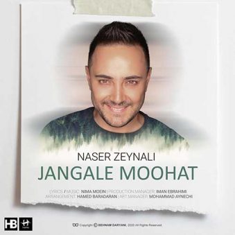 دانلود اهنگ جنگل موهات ناصر زینعلی