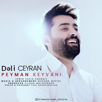 دانلود آهنگ دلی جیران پیمان کیوانی