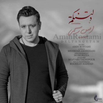دانلود اهنگ دلتنگتم امین رستمی