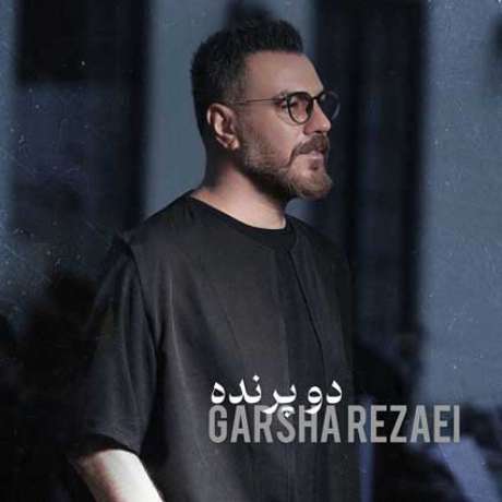 دانلود آهنگ جدید گرشا رضایی دو پرنده